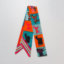 Load image into Gallery viewer, Scarf SD